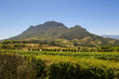 Mountains and vineyards South Africa