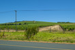 Vineyards South Africa
