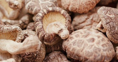 Canvas Print - Stack of Dry mushroom