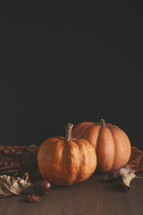 Beautiful pumpkins with leaves and chestnuts on black background