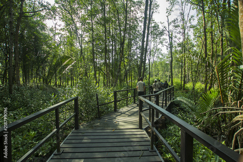 Plakat most w dżungli   pomost-prowadzacy-przez-dzungle