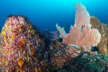 Wall Mural - Abandoned Ghost fishing nets on a tropical coral reef