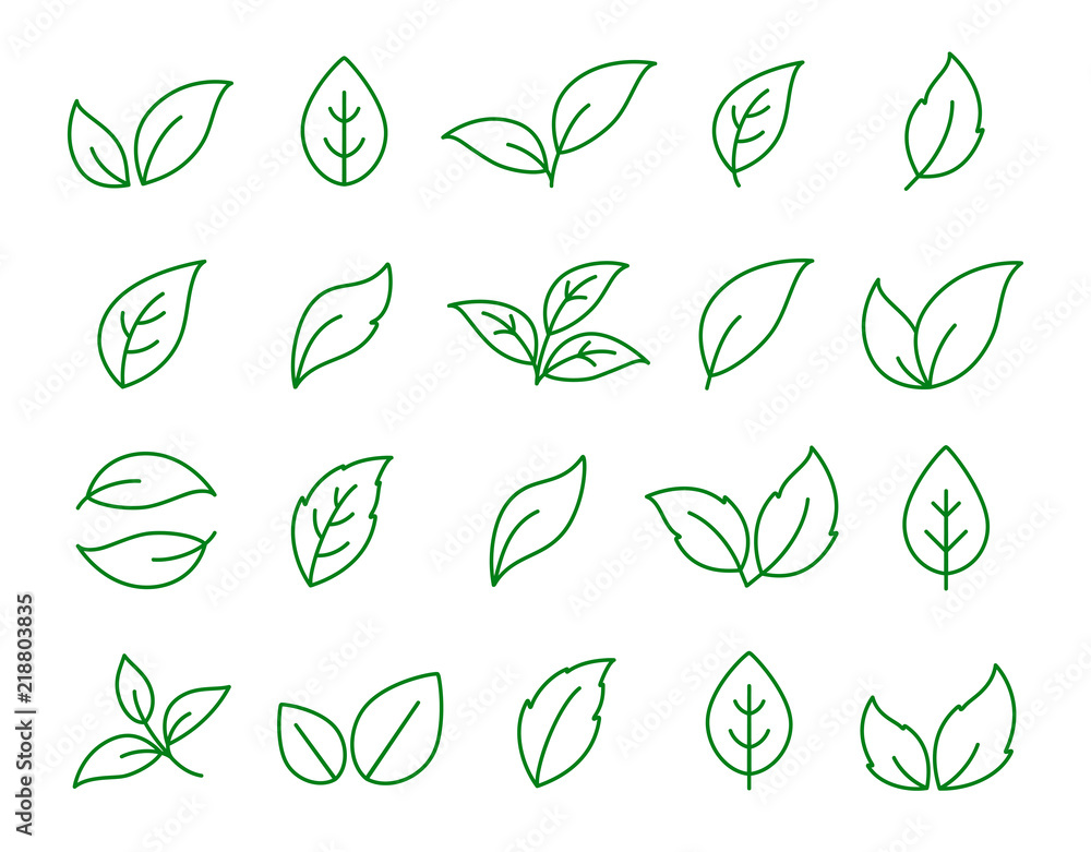 set of linear green leaf icons on white - obrazy, fototapety, plakaty 