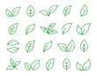 set of linear green leaf icons on white