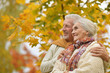 © aletia2011 - Portrait of a happy senior couple in autumn park