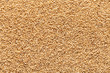 closeup amaranth seeds organic food background