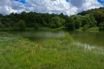 Wall Mural - A beautiful image of landscape from the center of the river, surrounded by trees and reeds on the shore and distant horizon against the blue sky in clouds. Reflection, water, tourist destination