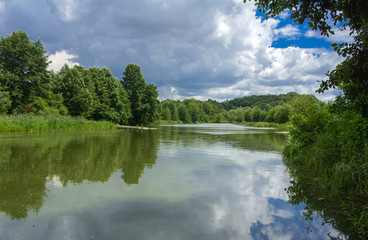 Wall Mural - A beautiful image of landscape from the center of the river, surrounded by trees and reeds on the shore and distant horizon against the blue sky in clouds. Reflection, water, tourist destination