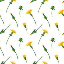 Watercolor Seamless Pattern Of Dandelion Buds And Inflorescences