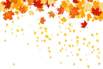 Wall Mural - fall leaves isolated