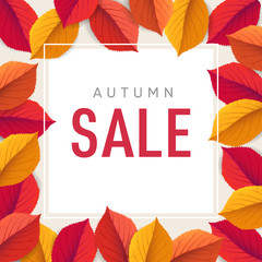 Wall Mural - autumn sale flyer template. bright colorful fall leaves. poster, card, label, web banner. seasonal t