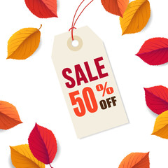 Wall Mural - autumn sale 50 off, tag template. falling bright colorful leaves isolated on white background. poste