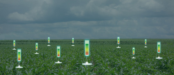 the bubble chat or meter data the detect by futuristic technology in smart agriculture with artificial intelligence to improving yield, efficiency, and profitability in the farm