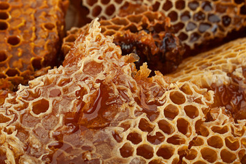 Wall Mural - Honeycomb slice closeup background