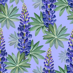 Wall Mural - Watercolor illustrations of wild lupines. Seamless pattern