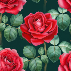 Wall Mural - Watercolor illustration of roses. Seamless pattern