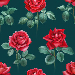 Wall Mural - Watercolor illustration of roses. Seamless pattern