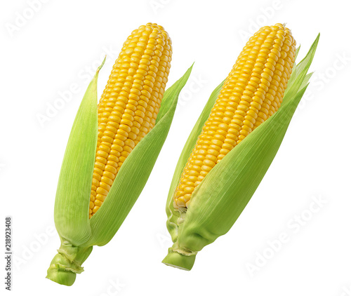 Fotografía Raw corn cobs with green leaves isolated on white background