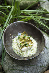 Wall Mural - Risotto with herbs and white fish