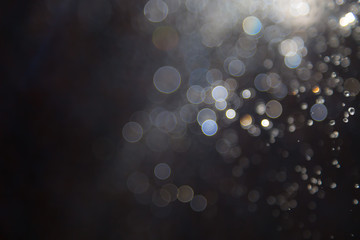 bokeh of water fly and lights on black background,