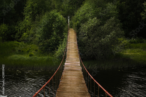  Fototapeta most w dżungli   dlugi-most-w-dzungli-nad-rzeka
