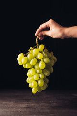 Wall Mural - cropped shot of person holding bunch of fresh ripe white grapes on black