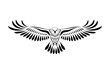 Engraving of stylized hawk. Linear drawing. Decorative bird.