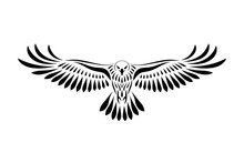 Engraving Of Stylized Hawk. Linear Drawing. Decorative Bird.