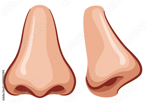 Fotografia  Vector nose on white background