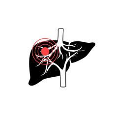 Sticker - Vector isolated illustration of liver