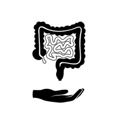 Wall Mural - Vector isolated illustration of intestine