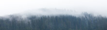 Mountain Foggy Background, Forest Fog, Mist Landscape.