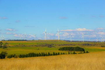 Wind turbine on blue sky background. Yellow autumn field. Alternative energy Australia