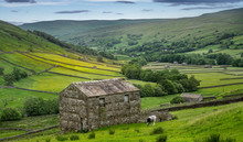 The Old Barns In Swaledale