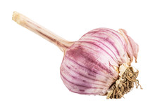Garlic Isolated In White
