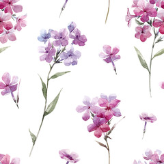 Wall Mural - Watercolor floral phlox pattern