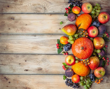 Thanksgiving Background With Autumn Pumpkins, Fruits And Flowers