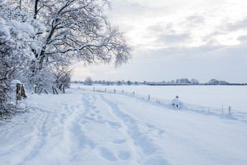 snow covered road