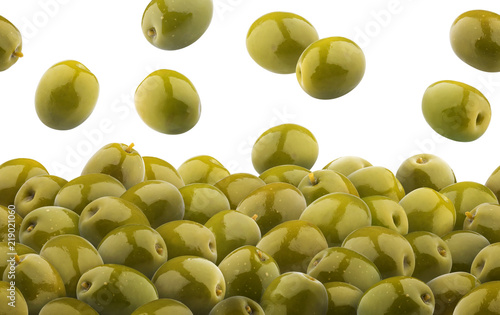  Fototapeta oliwki   zielone-oliwki-wzor-na-bialym-tle