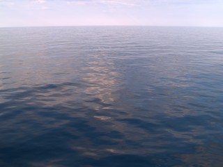 gulf of mexico