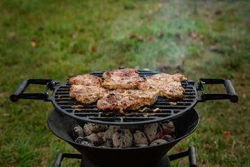 Wall Mural - Grill. Meat on grill grill in nature.