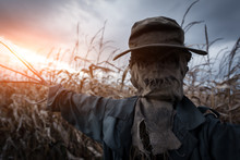 Scary Scarecrow In A Hat On A Cornfield In Orange Sunset Background. Halloween Holiday Concept