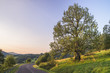 Droga w Bieszczady. Wielka Pętla Bieszczadzka, zdjęcie wykonane na Przełęczy Wyżne. W oddali widoczny Masyw Tarnicy