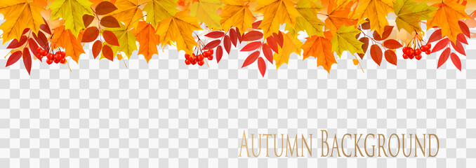 Poster - Abstract autumn panorama with colorful leaves on transparent background Vector