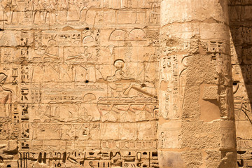 Wall Mural - A photo of ancient egyptian script in Luxor