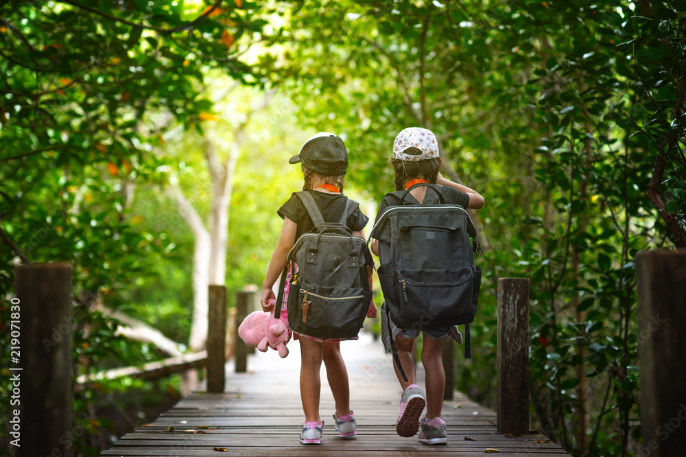 girls walking together on the wooden bridge of rainforest for learning ...