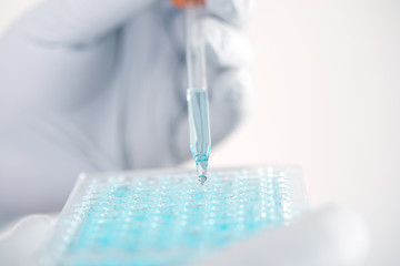 Close up a scientist working in laboratory to analyze blue extracted of DNA  molecules in a micro tube plate , clinical or science testing analysis concept