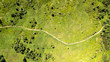 © Oleksii Nykonchuk - Aerial view of the footpath in the Carpathian Mountains