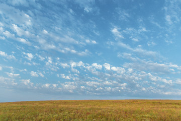 Wall Mural - blue sky and beautiful cloud. plain landscape background