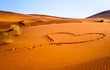Herz im Wüstensand